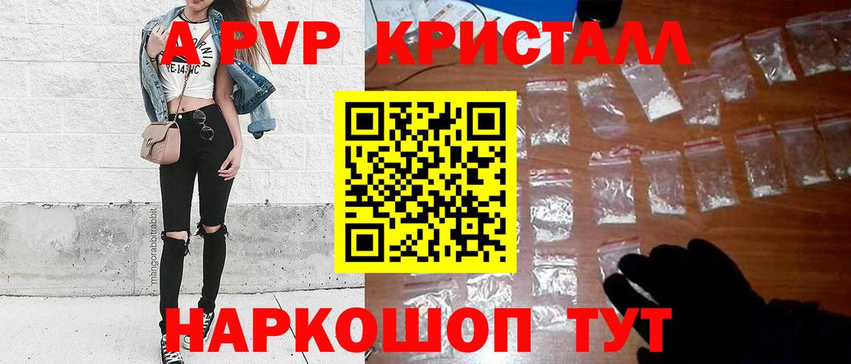 Alfa_PVP СК КРИС Тимашёвск