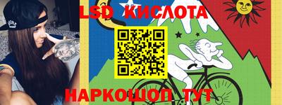 PSILOCYBIN Новокубанск