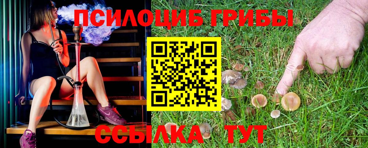 Псилоцибиновые грибы Magic Shrooms  Вход с VPN  Псилоцибиновые грибы Psilocybe  Тимашёвск 